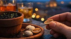 Gusci di pistacchio: 5 modi intelligenti per riutilizzarli in casa e sul balcone